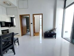 Spottiswoode Suites (D2), Apartment #557286701
